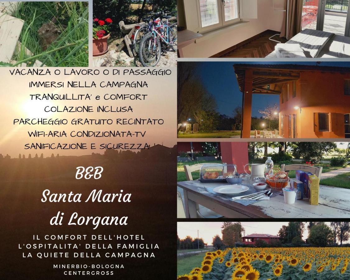 Santa Maria Di Lorgana Acomodação com café da manhã Minerbio Exterior foto