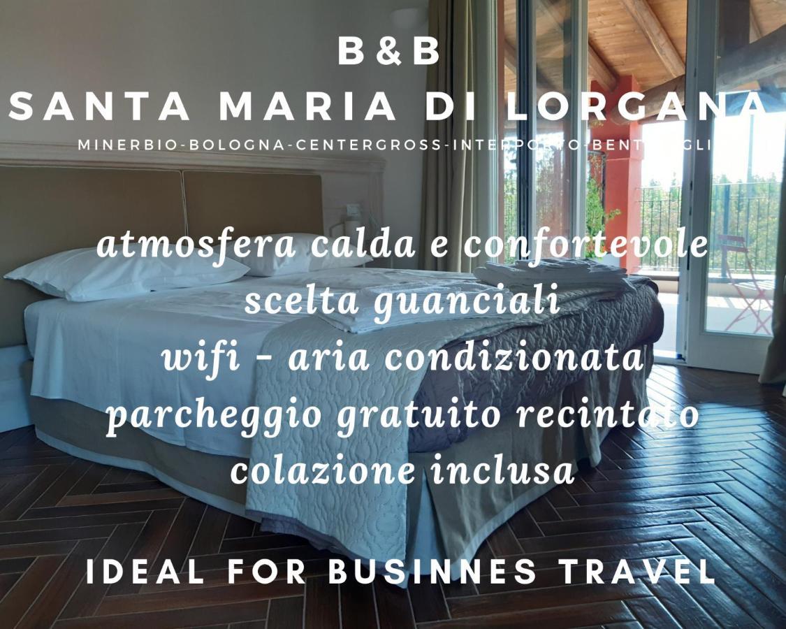 Santa Maria Di Lorgana Acomodação com café da manhã Minerbio Exterior foto