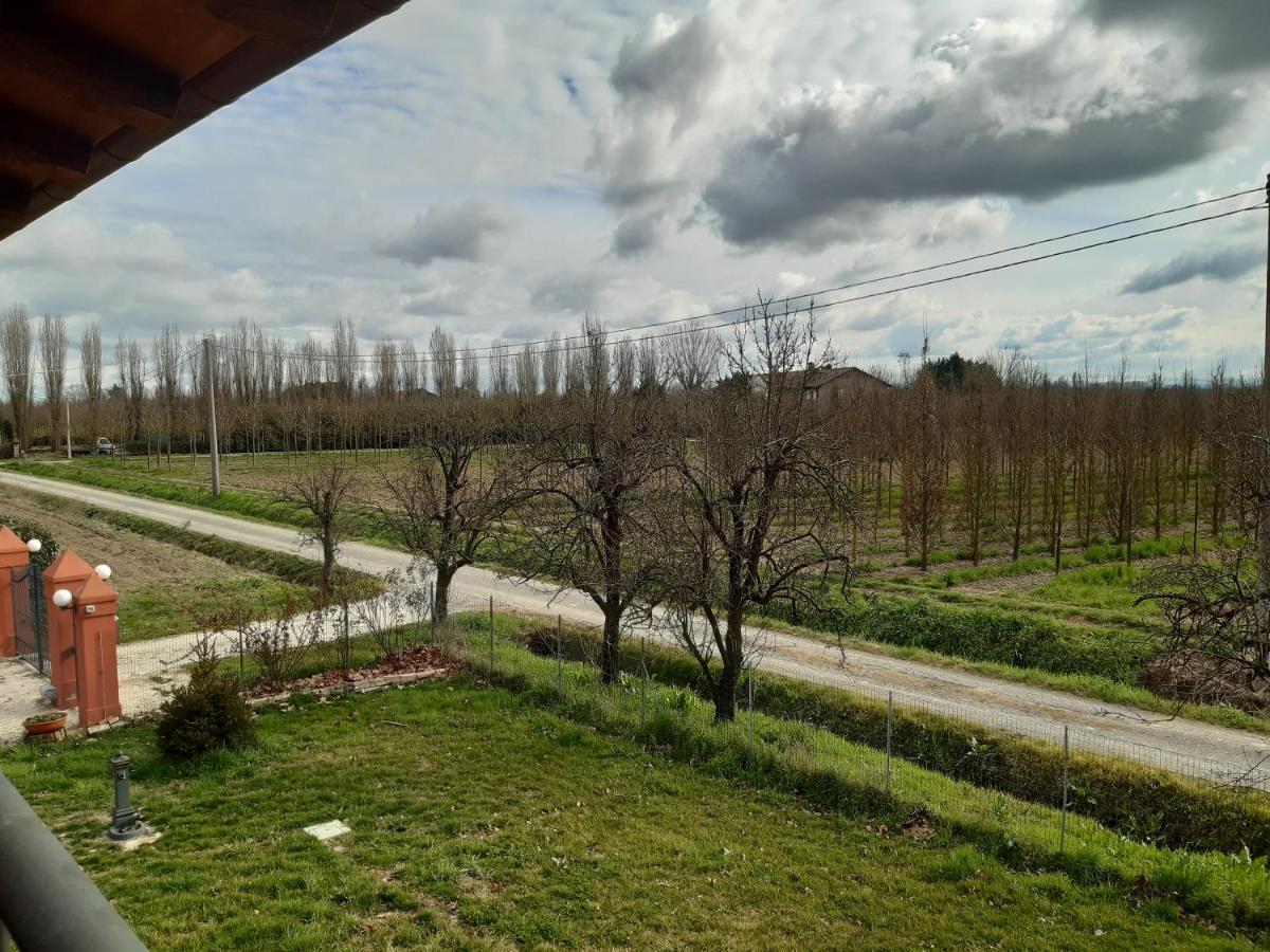 Santa Maria Di Lorgana Acomodação com café da manhã Minerbio Exterior foto